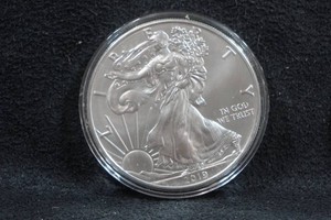2019 US Silver Eagle 1 Ounce Coin