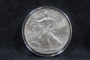 2017 US Silver Eagle 1 Ounce Coin