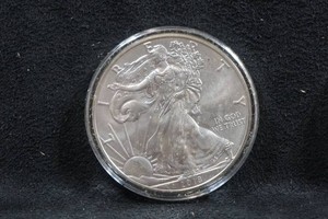 2018 US Silver Eagle 1 Ounce Coin