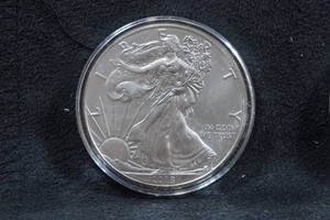 2018 US Silver Eagle 1 Ounce Coin