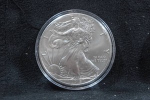 2019 US Silver Eagle 1 Ounce Coin