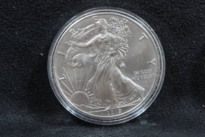 2019 US Silver Eagle 1 Ounce Coin