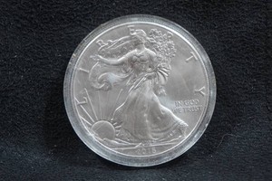 2016 US Silver Eagle 1 Ounce Coin