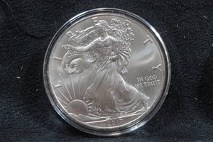 2017 US Silver Eagle 1 Ounce Coin