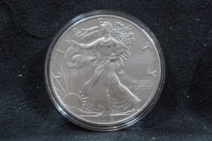 2018 US Silver Eagle 1 Ounce Coin