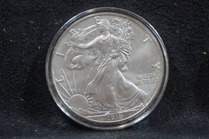 2019 US Silver Eagle 1 Ounce Coin