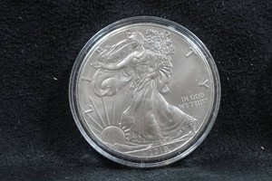 2019 US Silver Eagle 1 Ounce Coin