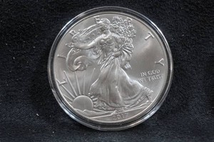 2017 US Silver Eagle 1 Ounce Coin