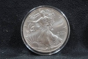 2017 US Silver Eagle 1 Ounce Coin