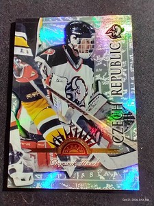 1997-98 Leaf Dominik Hasek International Stars Parallel