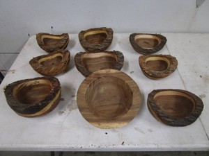 Started Wood Bowl Projects