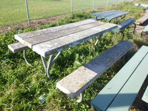 Fiberglass Picnic Table