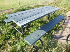 Picnic Table