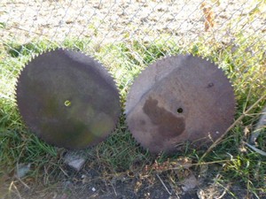 2 Large Saw Blades
