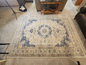 Bodrum Ivory Blue 8 x 10 Traditional Medallion Area Rug