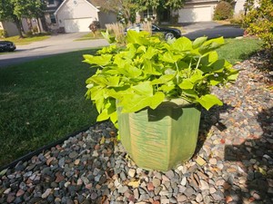 Large Green Glazed Outdoor Garden Planter