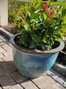 Blue Glaze Planter