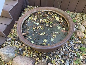 Cast iron kettle, 29dia.