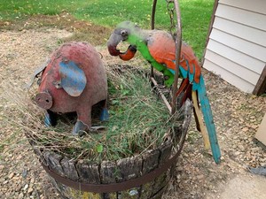 Metal pig and parrot yard art