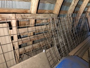 Metal panels, wood, tin, tarp, plastic fencing all on both sides of shed CAN TAKE WHAT YOU WANT