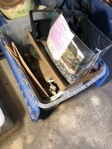 Sea shells in tote, small aquarium