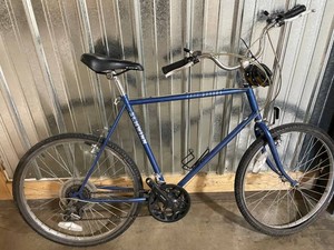 Schwinn 10-Speed Bicycle With BG Comfort Gel Saddle