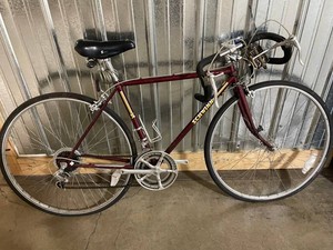 Schwinn World Road Bicycle