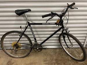 Schwinn Woodlands 21-Speed Mountain Bike