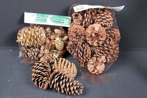 Holiday Time Cinnamon Scented Pine Cone Decor Assortment