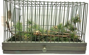 Vintage Metal Birdcage With Milk Glass Feeder