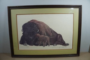 Paterfamilias American Bison Oil Painting by Roger Tambella - 43220