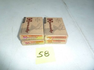 Hornaday 20 Gage Slug SST Ammo