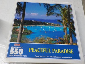 550 piece Puzzle