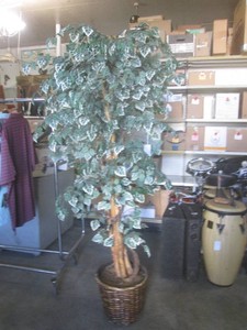 (RMC) Large Faux Plant 80 Tall