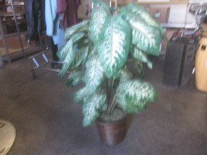 (RMC) Faux Plant 42 Tall
