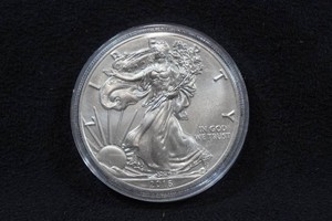2016 US Silver Eagle 1 Ounce Coin