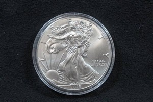 2019 US Silver Eagle 1 Ounce Coin
