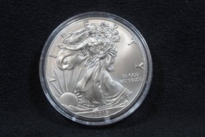 2019 US Silver Eagle 1 Ounce Coin