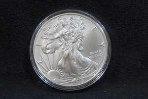 2019 US Silver Eagle 1 Ounce Coin