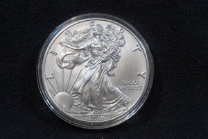 2019 US Silver Eagle 1 Ounce Coin