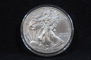 2019 US Silver Eagle 1 Ounce Coin