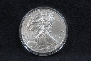 2019 US Silver Eagle 1 Ounce Coin