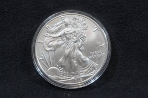 2019 US Silver Eagle 1 Ounce Coin