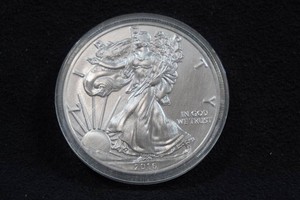 2016 US Silver Eagle 1 Ounce Coin