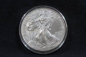 2017 US Silver Eagle 1 Ounce Coin