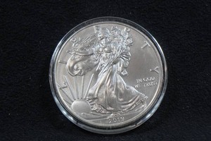 2019 US Silver Eagle 1 Ounce Coin