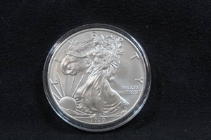 2020 US Silver Eagle 1 Ounce Coin