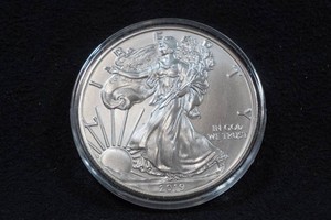 2019 US Silver Eagle 1 Ounce Coin
