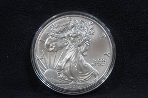 2017 US Silver Eagle 1 Ounce Coin