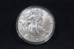 2019 US Silver Eagle 1 Ounce Coin